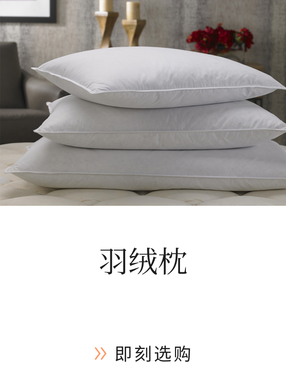 Marriott and Down Pillow.